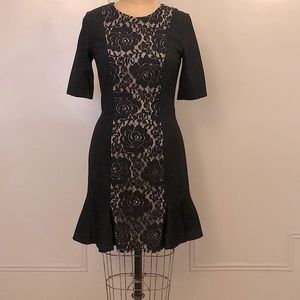 Gently Loved-CYNTHIA STEFFE Lace PanelDress